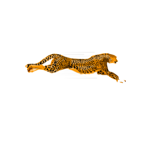 Leap Forward Program